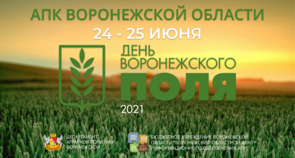 День Воронежского поля 2021