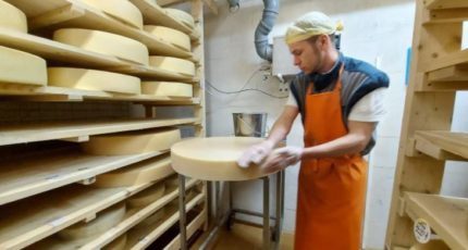 Производство сыра оживило деревню в Ярославской области
