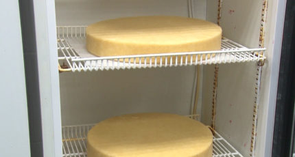 Натуральный хлеб и сыр. Как производят органические продукты в Воронежской области