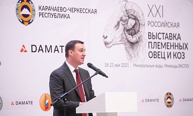 Дмитрий Патрушев: господдержка и селекция - основа для дальнейшего развития овцеводства и козоводства в России