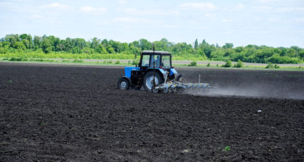 Воронежская область направит на поддержку аграриев 11,4 млрд рублей в 2021 году