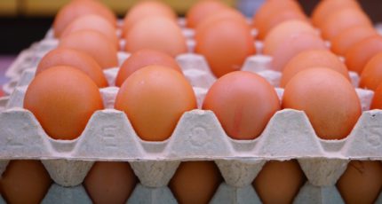 Азербайджан начал поставки яиц в РФ
