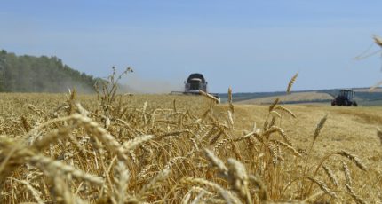 Подгоренский район: В районе продолжается уборка зерновых и зернобобовых культур