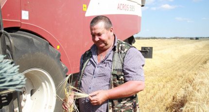 Аннинский район: Земледельцы района досрочно  начали уборку зерновых