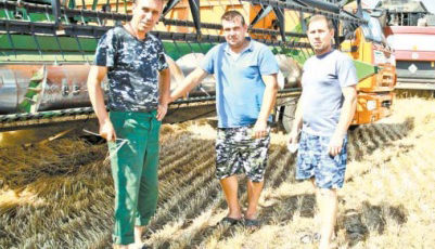 Аннинский район: Хозяйства района убрали около  половины площадей зерновых