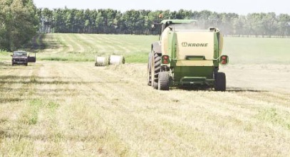 Аннинский район: Хозяйства района  завершили заготовку сена