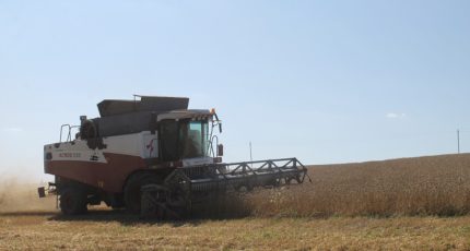 Сельхозпредприятия Хохольского района приступили к уборке зерновых и зернобобовых культур