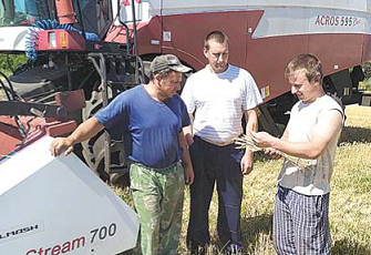 Калачеевский район: В районе начали уборку ранних зерновых