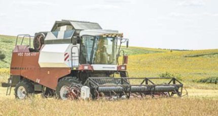 Острогожский район:  На 6 месте в уборочной кампании зерновых