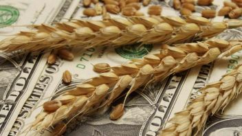 Экспортные цены на пшеницу РФ выросли на прошлой неделе из-за засушливой погоды в странах-экспортерах