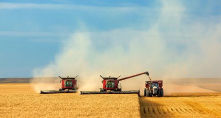 Воронежские аграрии намолотили более 3 млн. тонн зерна