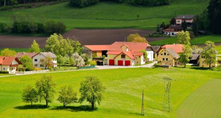 Фермерским хозяйствам разрешат размещать туристов в жилых домах на землях сельхозназначения