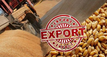 Минсельхоз: 70% российского зерна поставляется пяти крупнейшим покупателям