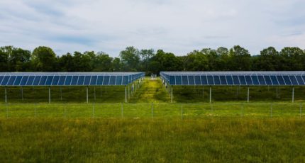 Фермеры Германии собирают двойной урожай с помощью солнечной энергии