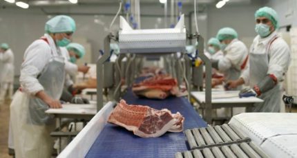 Россия изучит опыт Китая в соблюдении экостандартов при производстве свинины