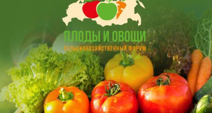 Не пропустите международный форум-выставку «Плоды и овощи России 2021»