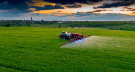 Ученые РФ разработали отечественную технологию создания пестицидов для защиты зерновых