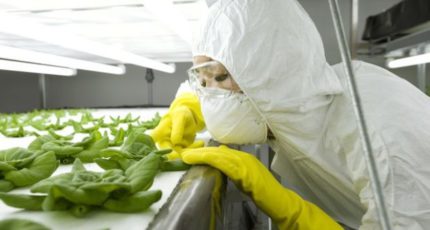 Почему мы боимся генно-модифицированных продуктов и кто на них зарабатывает?