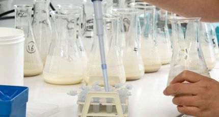 «Умная» ферма «Рассвета»: секреты прибыльного молочного производства