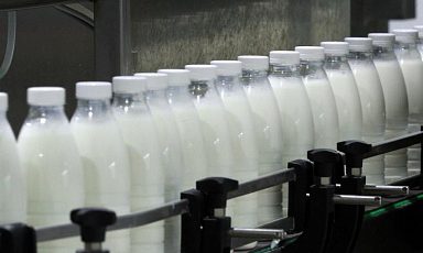 Объём реализации молока в сельхозорганизациях вырос на 2,3%