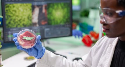 Разрешено первое в мире лабораторное производство мяса из клеток животных