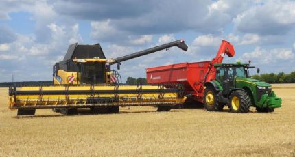 Воронежским аграриям компенсируют почти 500 млн рублей, затраченных на производство зерновых