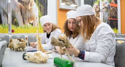 В России определили вузы для открытия ординатуры по ветеринарии