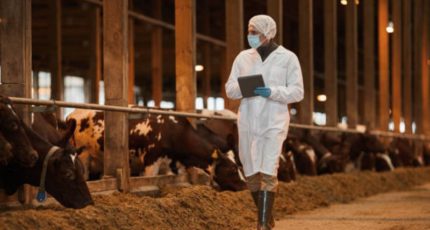 Россия исполнит обязательства перед ВТО по ветеринарному контролю при экспорте продукции АПК