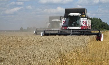 Сбор зерновых в России на 22 ноября превысил 125 млн тонн