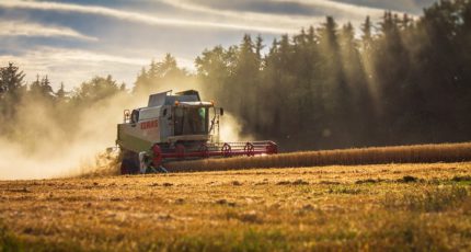 Реформа сельского хозяйства в ЕС ударит по карману органических ферм