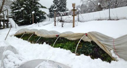Зимние работы на дачном участке: как садоводам и огородникам встретить весну во всеоружии?
