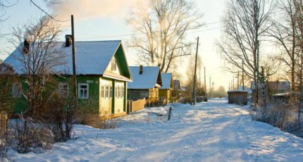 Правительство РФ выделило средства на субсидирование сельской ипотеки и покупку кормов для скота