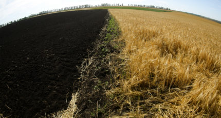 Госдума приняла во втором чтении закон о создании реестра сельхозземель