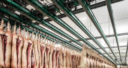 Мясной сектор откатится назад. Объем производства мяса в 2021 году составит около 11 млн т