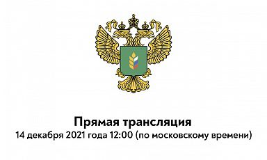 Выступление Дмитрия Патрушева на «правительственном часе» в Госдуме