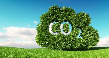 Низкоуглеродная экономика и сельское хозяйство