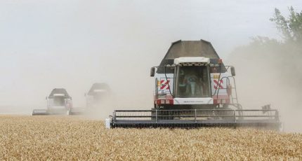 Минсельхоз РФ подтвердил оценку урожая зерна в РФ по итогам года - более 123 млн тонн