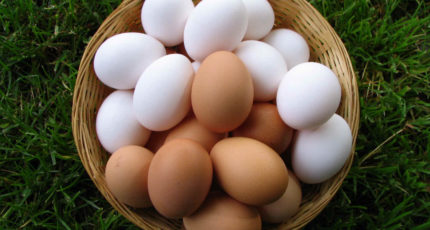 Хозяйства Воронежской области нарастили производство мяса и яиц