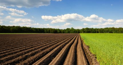 Госдума приняла во II чтении проект о создании реестра земель сельхозназначения