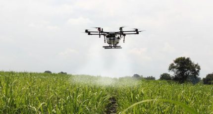 В воронежском вузе студентов научат управлять дронами на «ферме будущего»