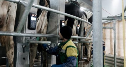 «ЭкоНива» по итогам года произвела более 1,1 млн тонн сырого молока