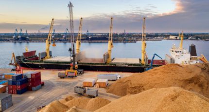 Лидер по экспорту мягкой пшеницы. Сможет ли Россия остаться на первом месте в списке крупнейших экспортеров