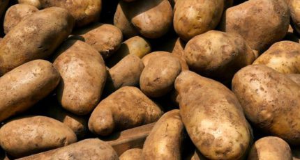 Право на льготный тариф железнодорожной перевозки овощей и картофеля получили новые территории