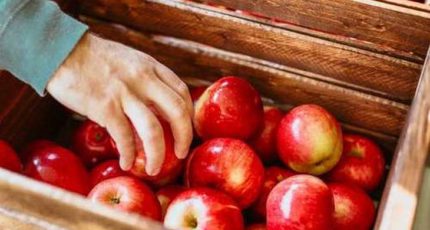 Долежат до мая: как продлить срок хранения яблок и груш