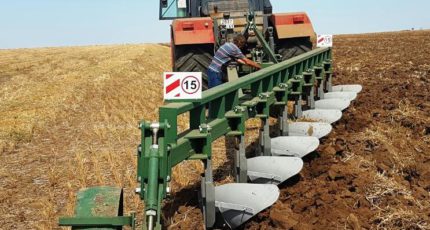 В РФ стартовала крупная распродажа сельхозтехники, семян, скота и кормов