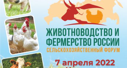 В Краснодаре пройдет сельскохозяйственный форум 
