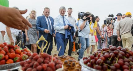 Воронежская область заняла первое место в России по производству органических продуктов питания