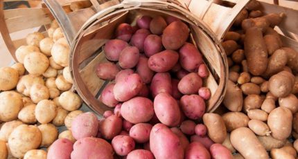 О торговле картофелем по федеральным округам и регионам России