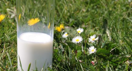 «Союзмолоко»: рост цен на молоко в России уже не сдержать