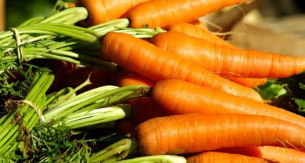 Баланс потенциальной региональной торговли морковью